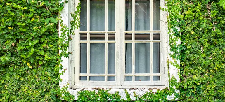 Garden Window Repair Near Me in Vero Beach South, FL