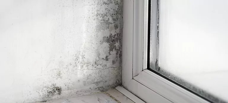 Vero Beach South, FL